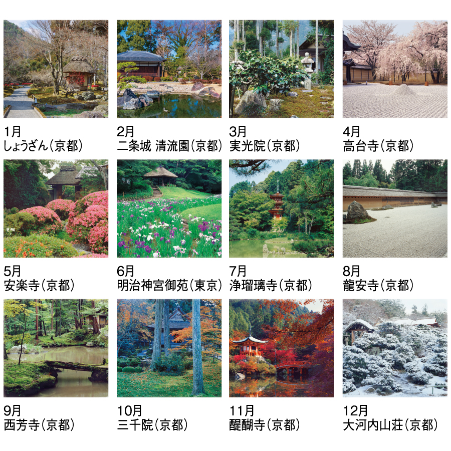 詩情・庭メモリー（SG-282）画像-3