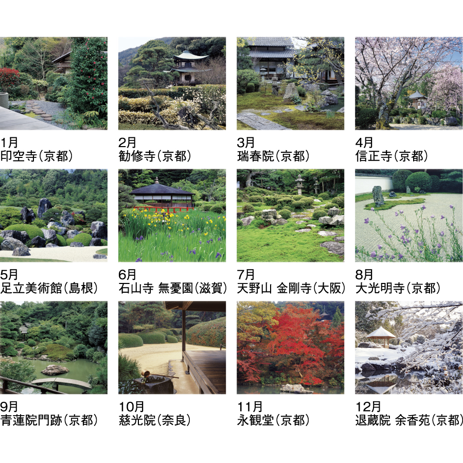詩情・庭メモリー（SG-282）画像-3