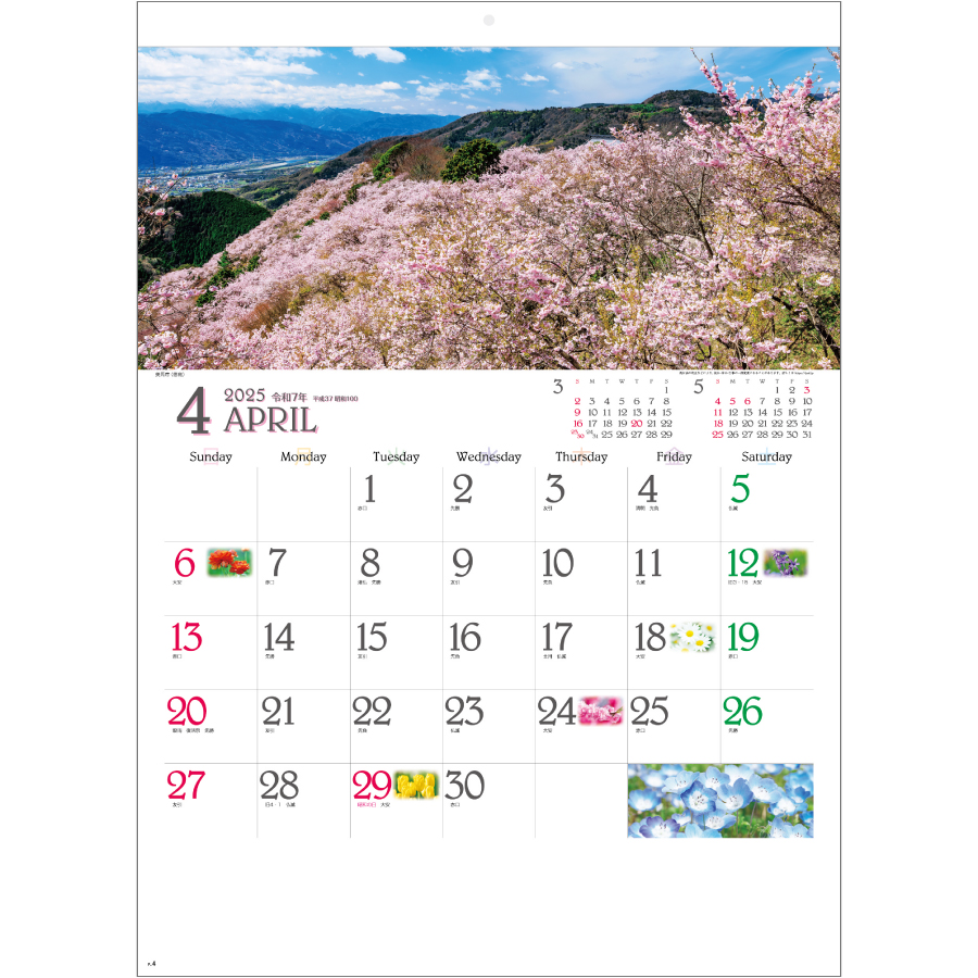 四季彩花（SG-290）画像-2