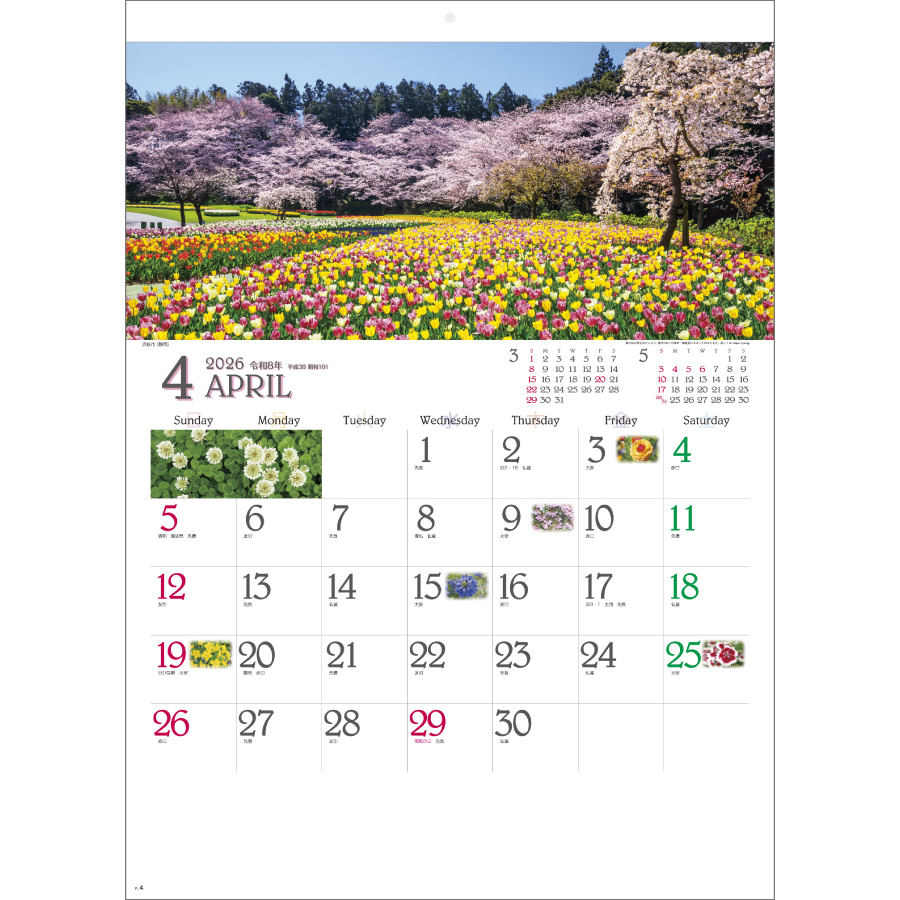 四季彩花（SG-290）画像-2
