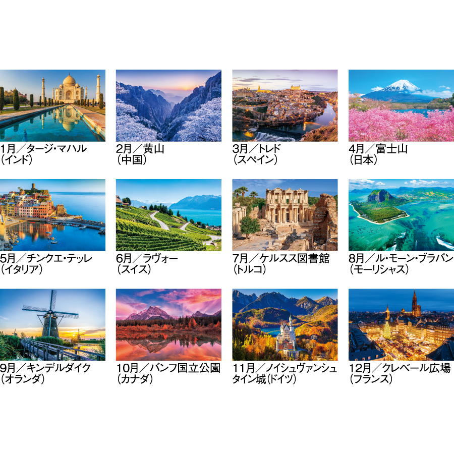 【超早割】四季彩花（SG-290）画像-3