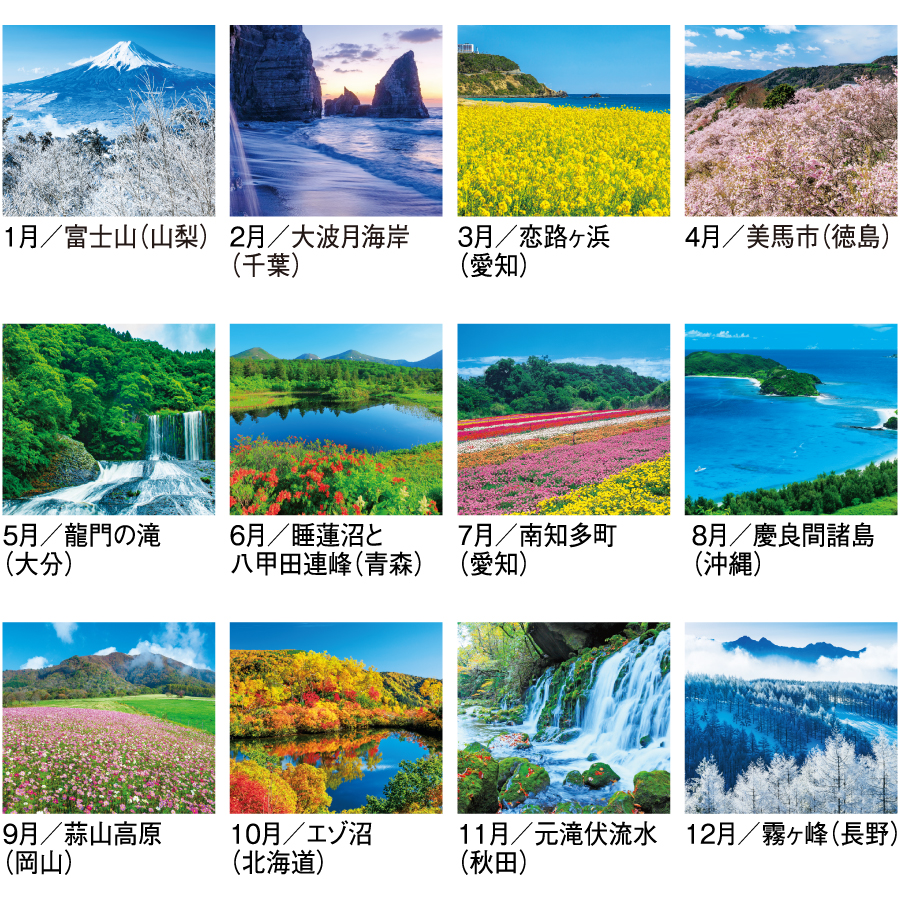 四季彩花（SG-290）画像-3