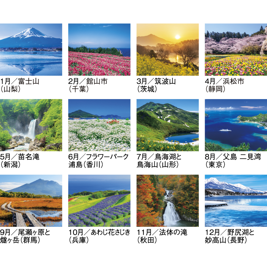 四季彩花（SG-290）画像-3