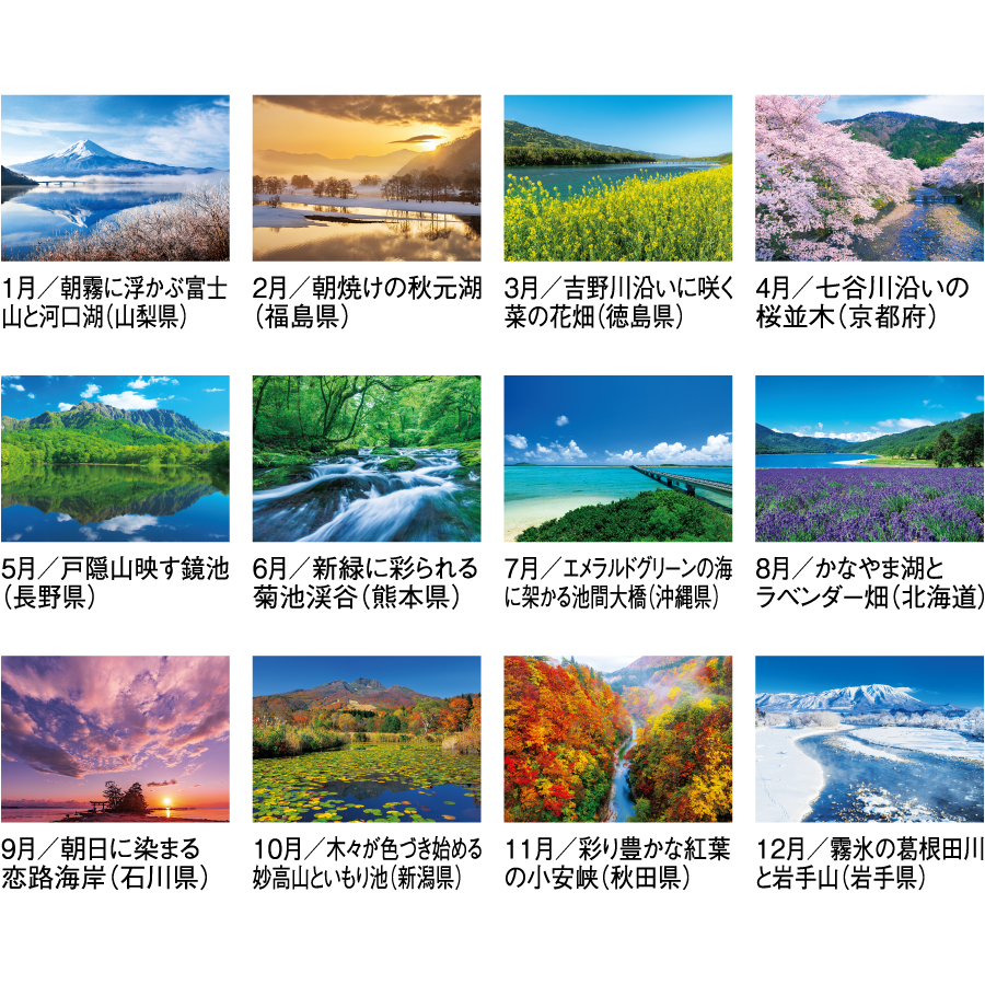 【超早割】四季水景(SG-294)画像-3