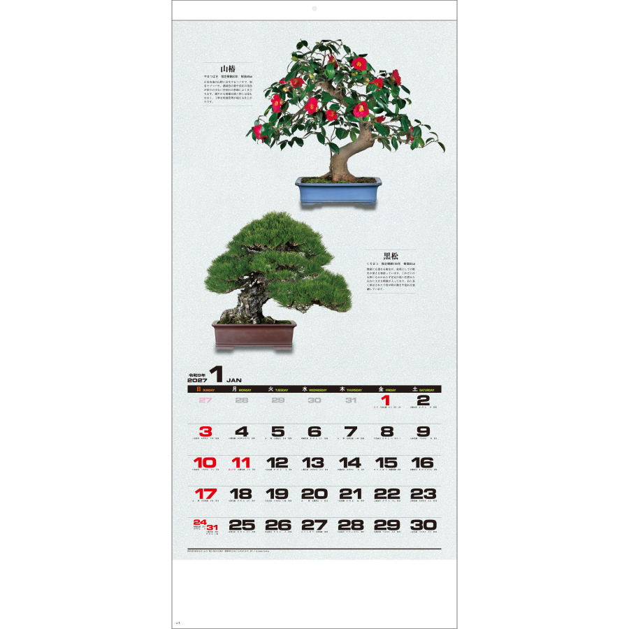 【超早割】自然愛〈盆栽〉(SG-350)画像-2