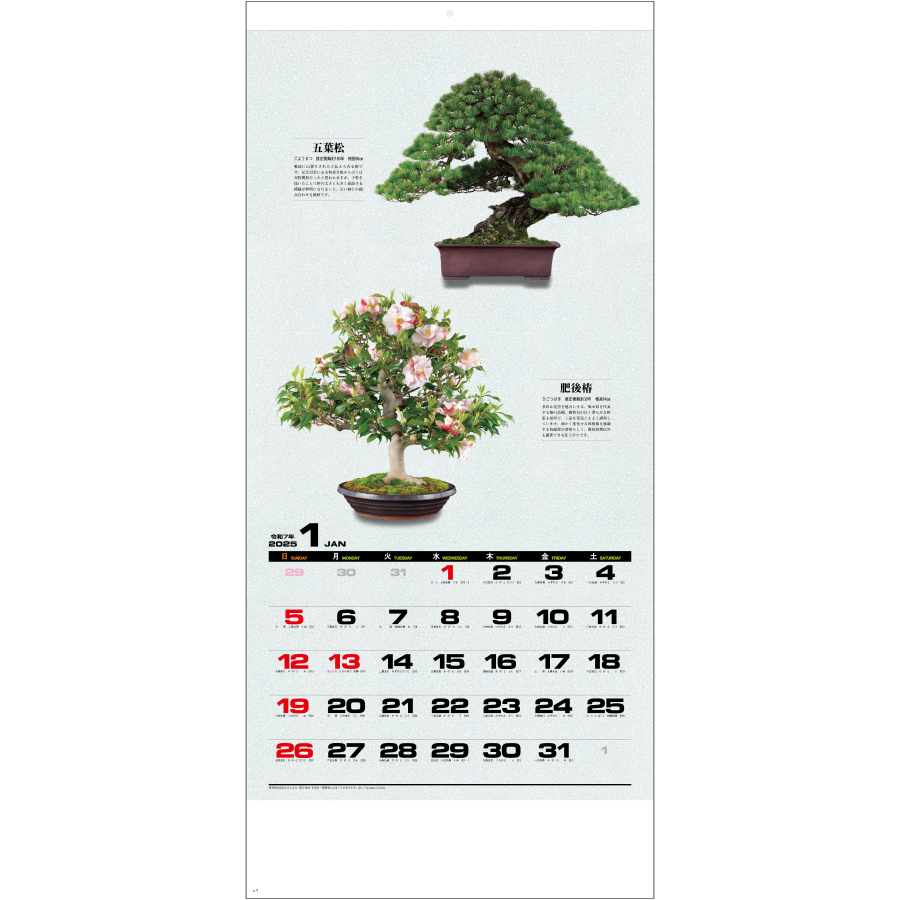 自然愛〈盆栽〉（SG-350）画像-2