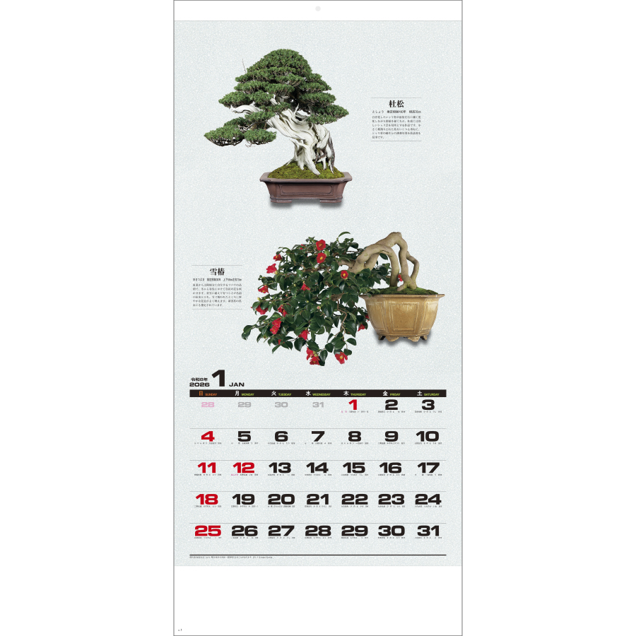 自然愛〈盆栽〉（SG-350）画像-2