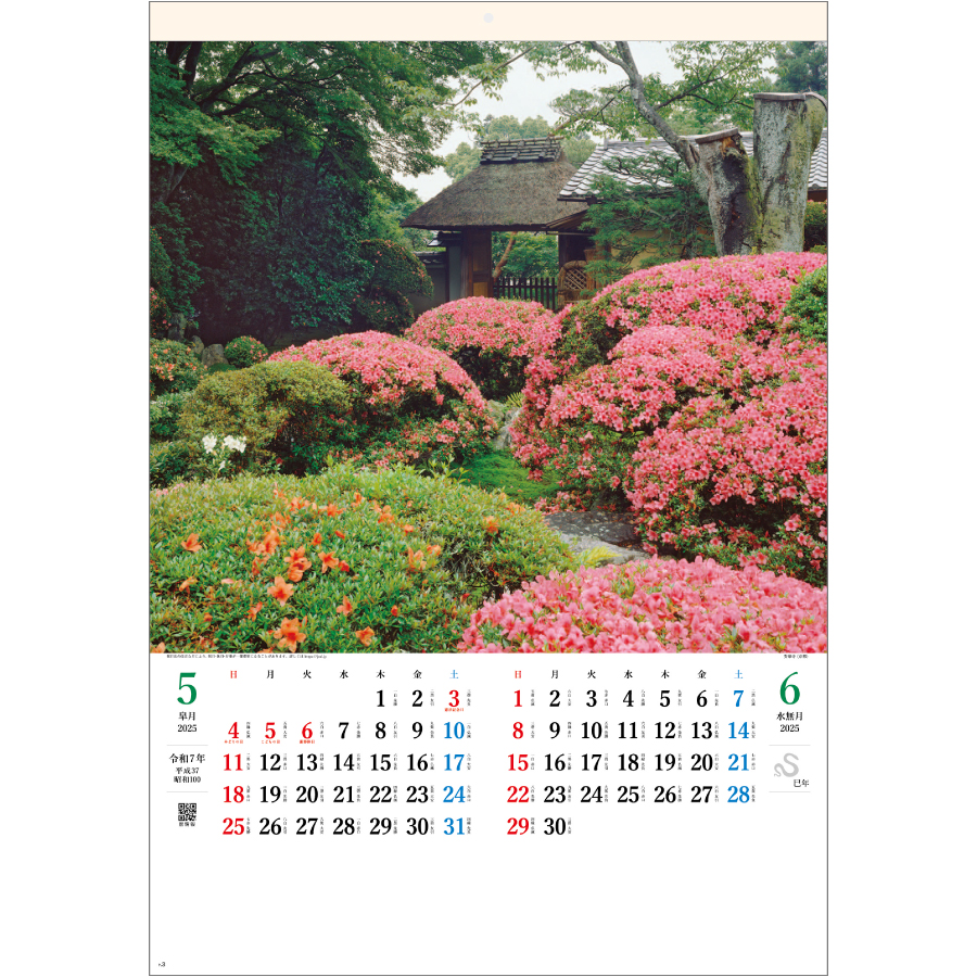 庭の心（SG-401）画像-2