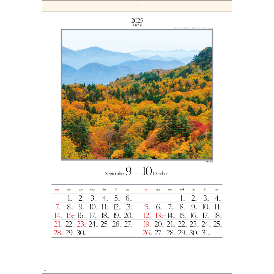 四季六彩（SG-403）画像-2