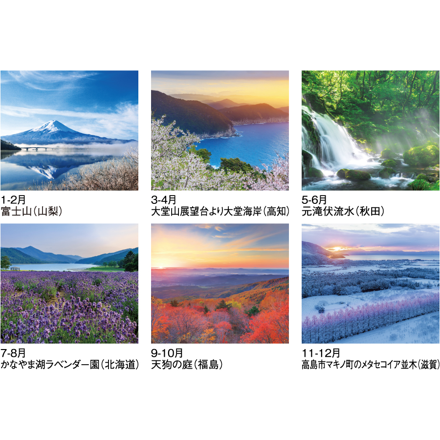 【超早割】四季六彩（SG-403）画像-3