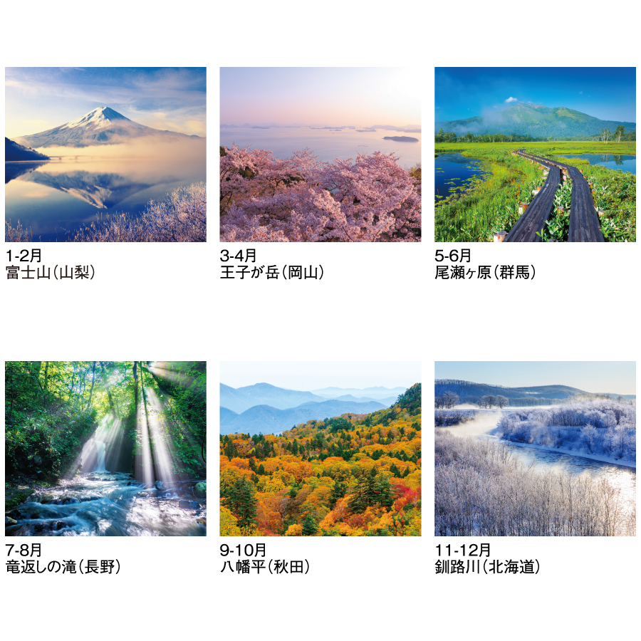 四季六彩（SG-403）画像-3