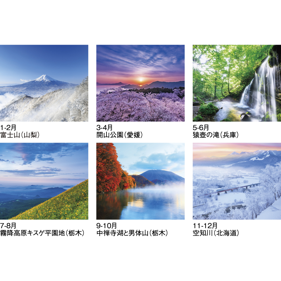 四季六彩（SG-403）画像-3