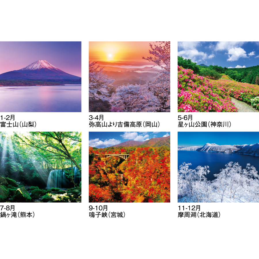 【早割】彩(SG-409)画像-3