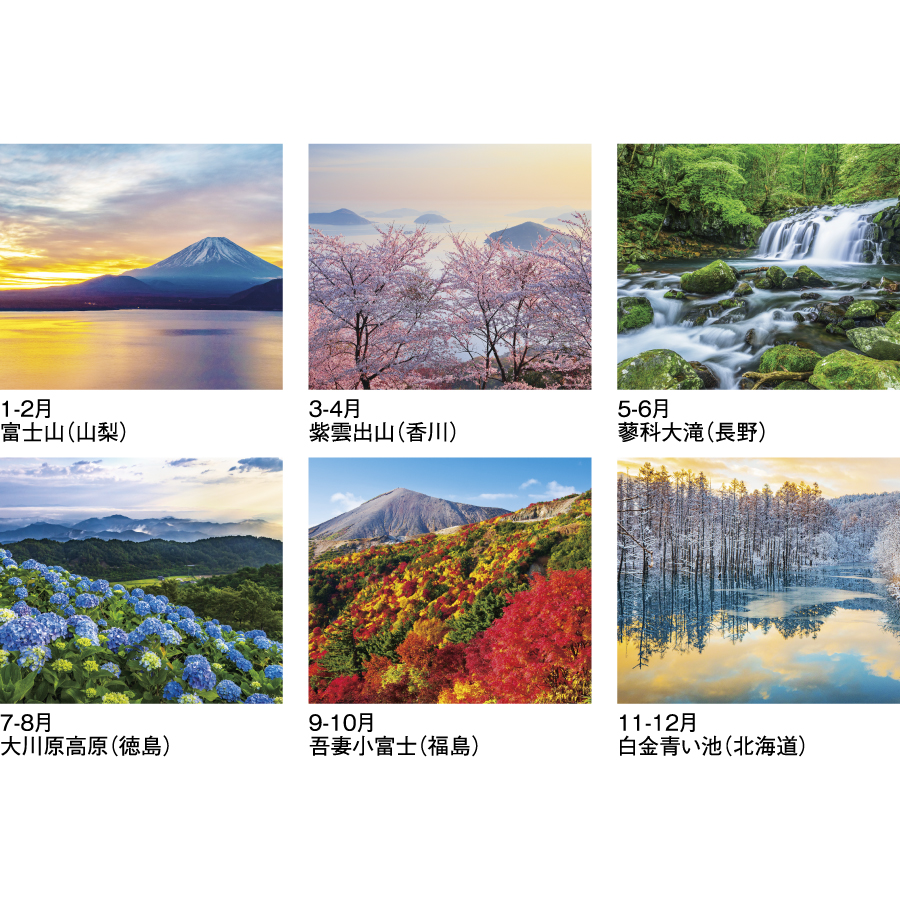 彩（SG-409）画像-3