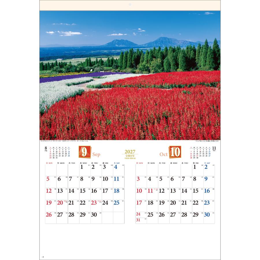 【超早割】四季彩峰（SG-416）画像-2
