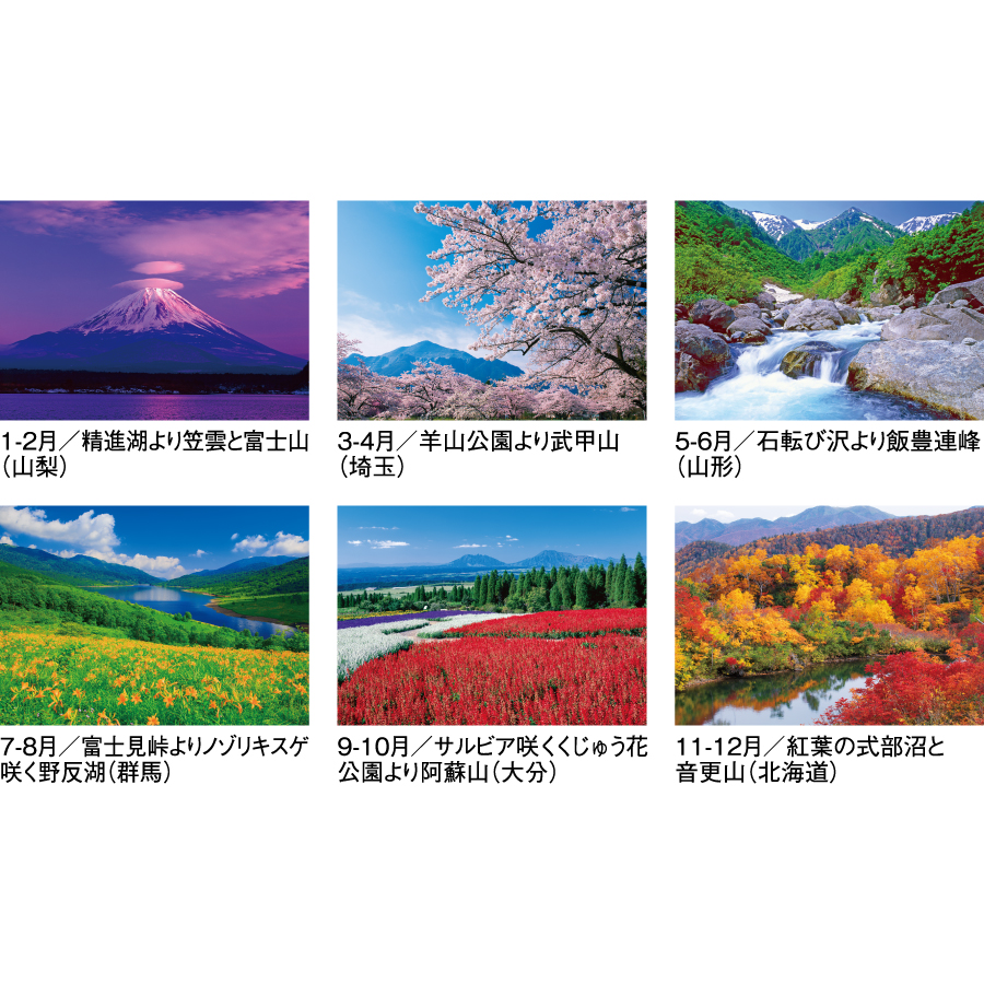 【超早割】四季彩峰（SG-416）画像-3