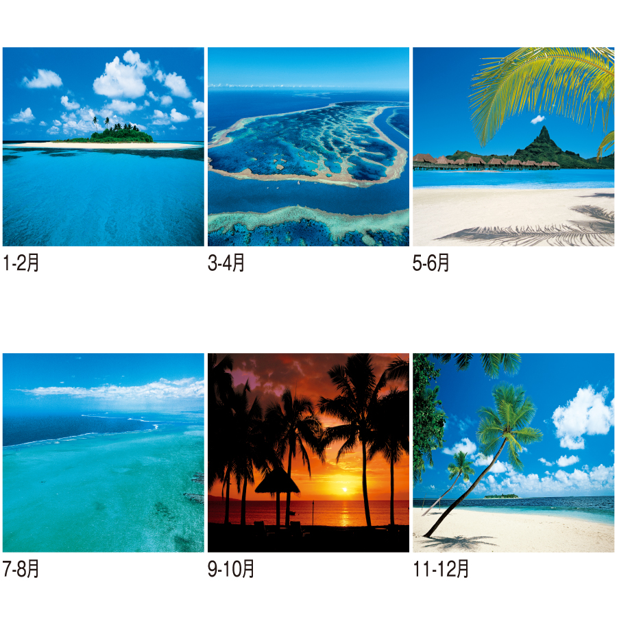 パシフィックオーシャン（SG-421）画像-3