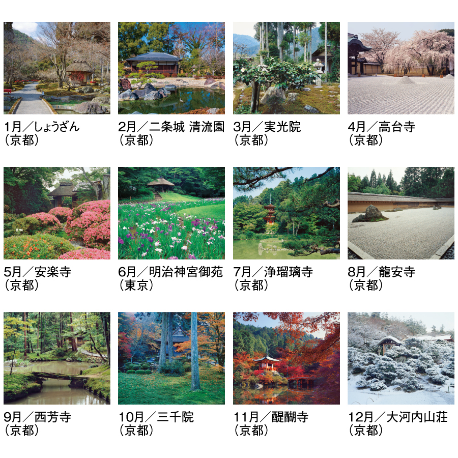 春秋の庭（SG-455）画像-3