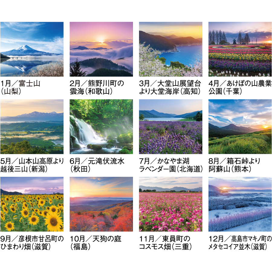 【超早割】四季十二彩(SG-456)画像-3