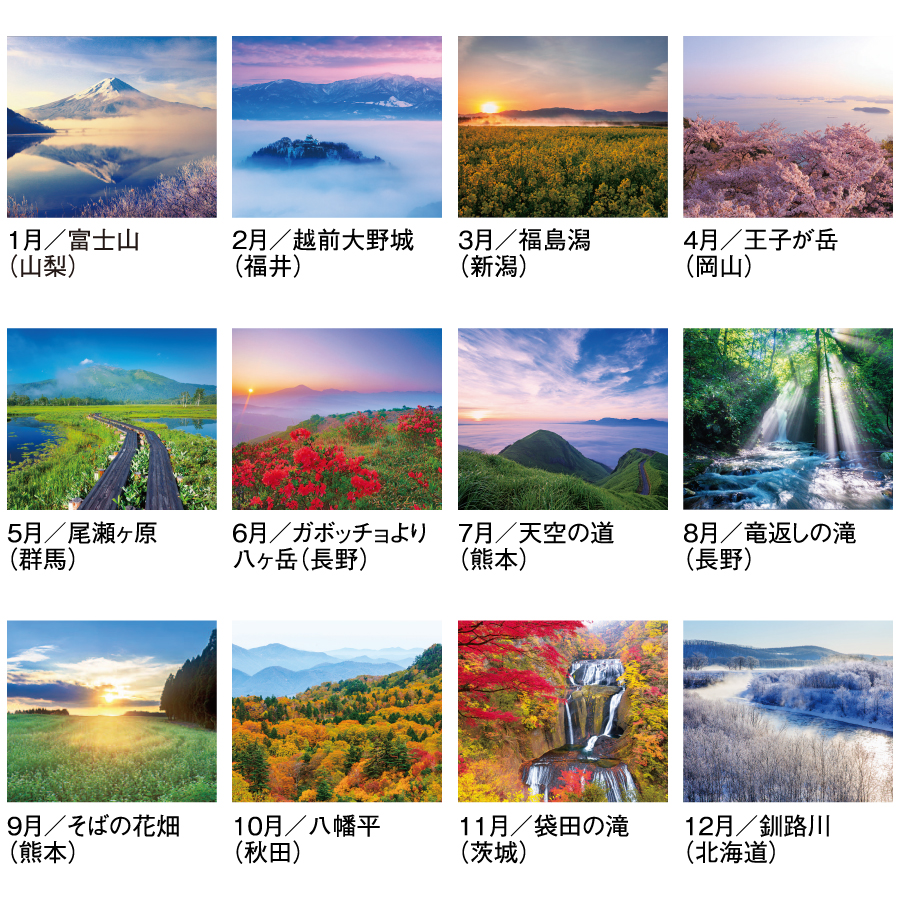 四季十二彩（SG-456）画像-3
