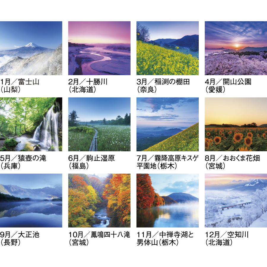 四季十二彩（SG-456）画像-3