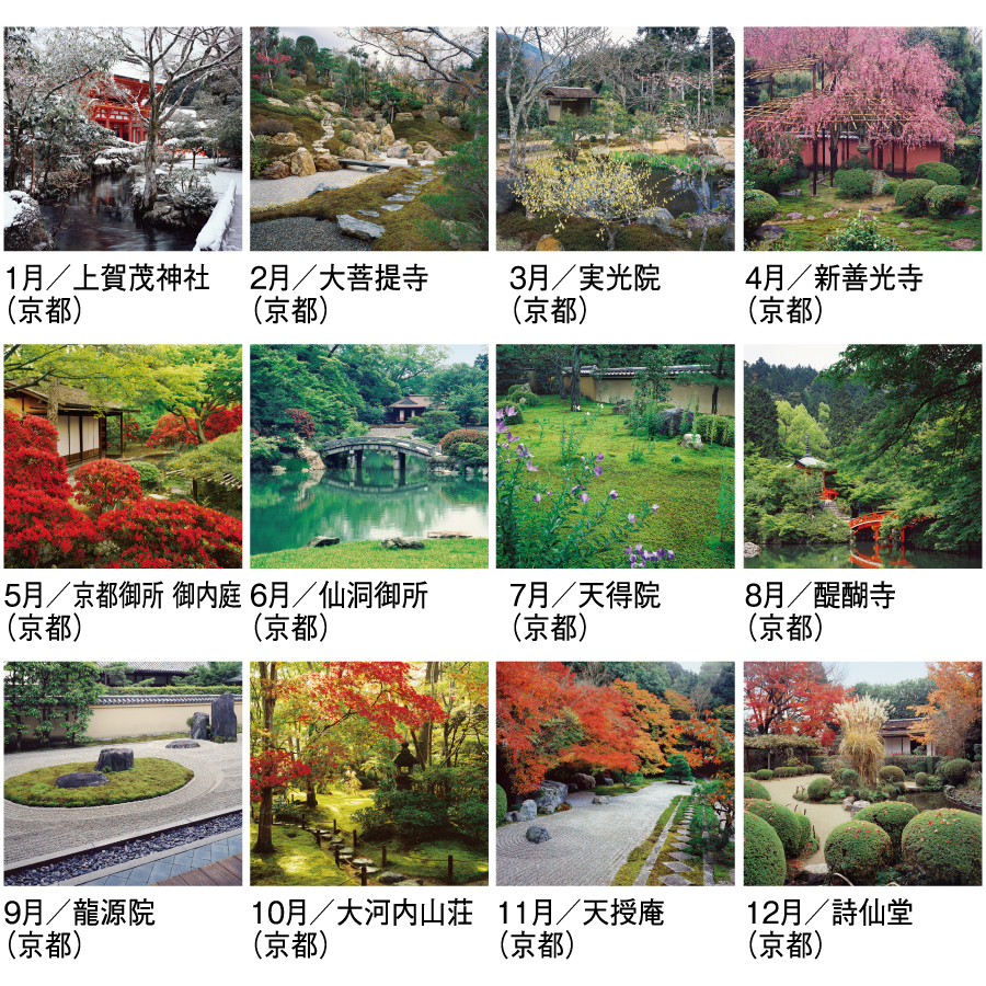 庭・四季詩情（SG-457）画像-3