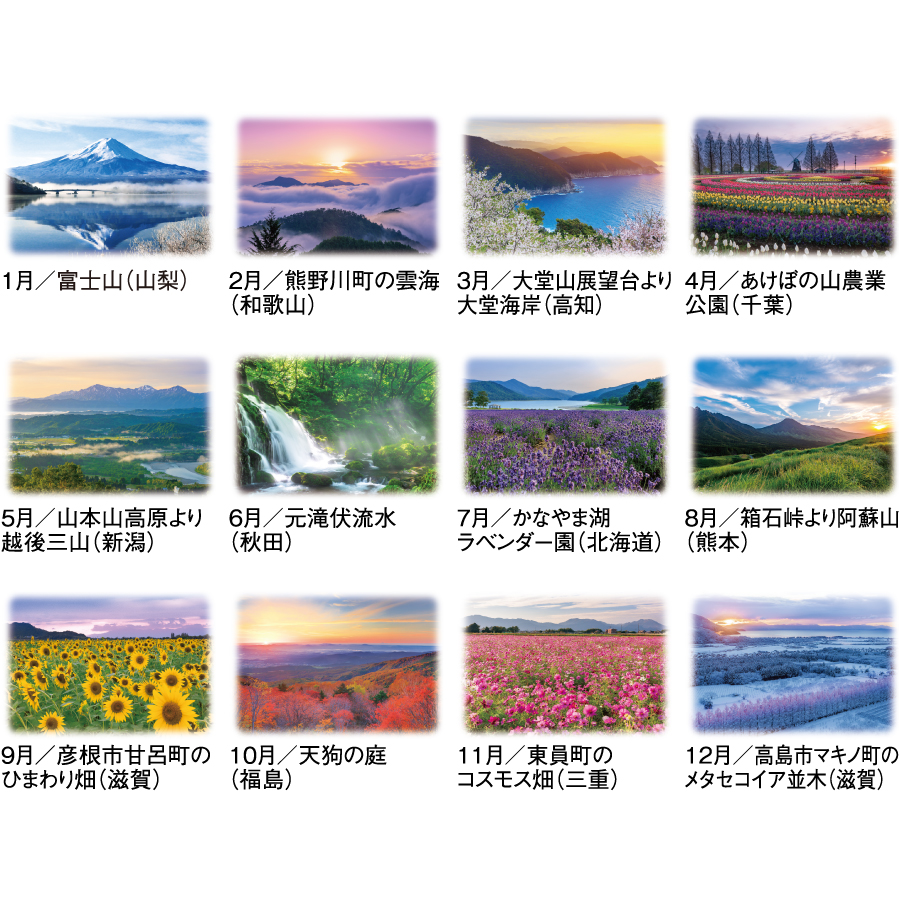 【超早割】詩情・四季メモリー(SG-460)画像-3