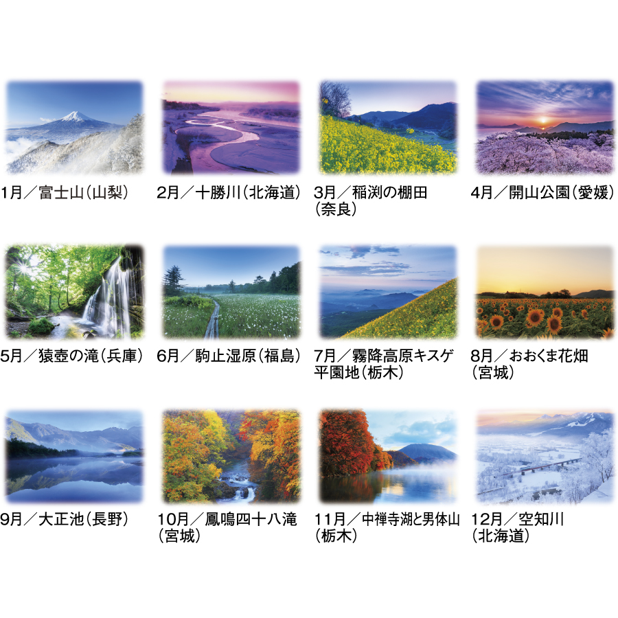 詩情･四季メモリー（SG-460）画像-3