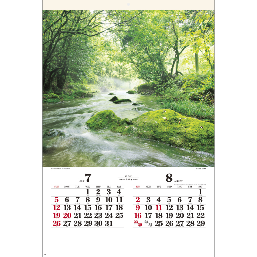 四季光耀（SG-502）画像-2