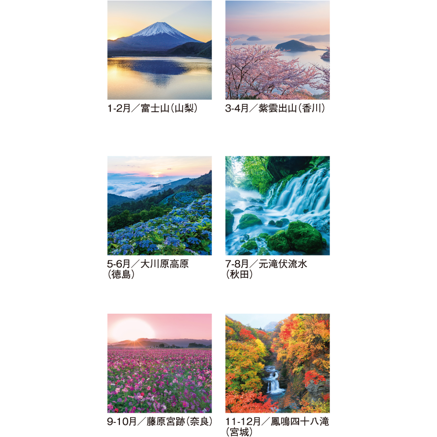 【超早割】四季光耀 フィルム(SG-502)画像-3