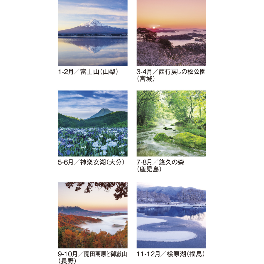 四季光耀（SG-502）画像-3