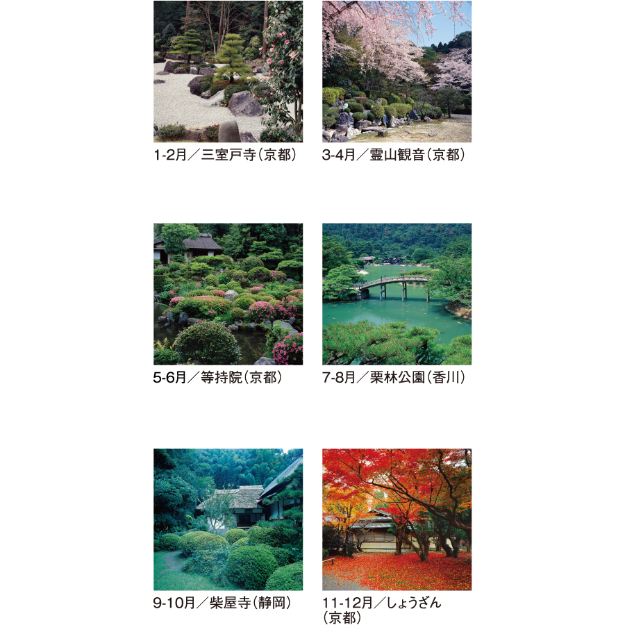 【超早割】名苑 フィルム(SG-503)画像-3