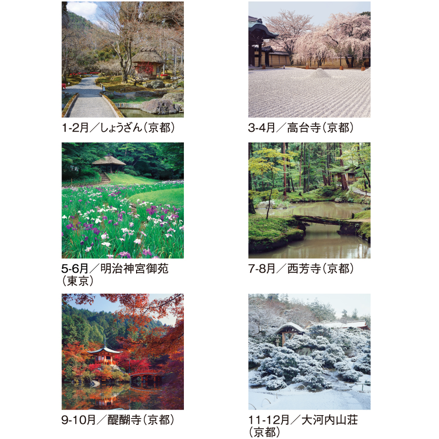 名苑（SG-503）画像-3
