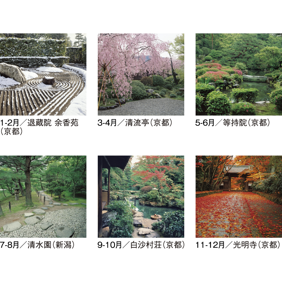 庭・四季詩情（SG-505）画像-3