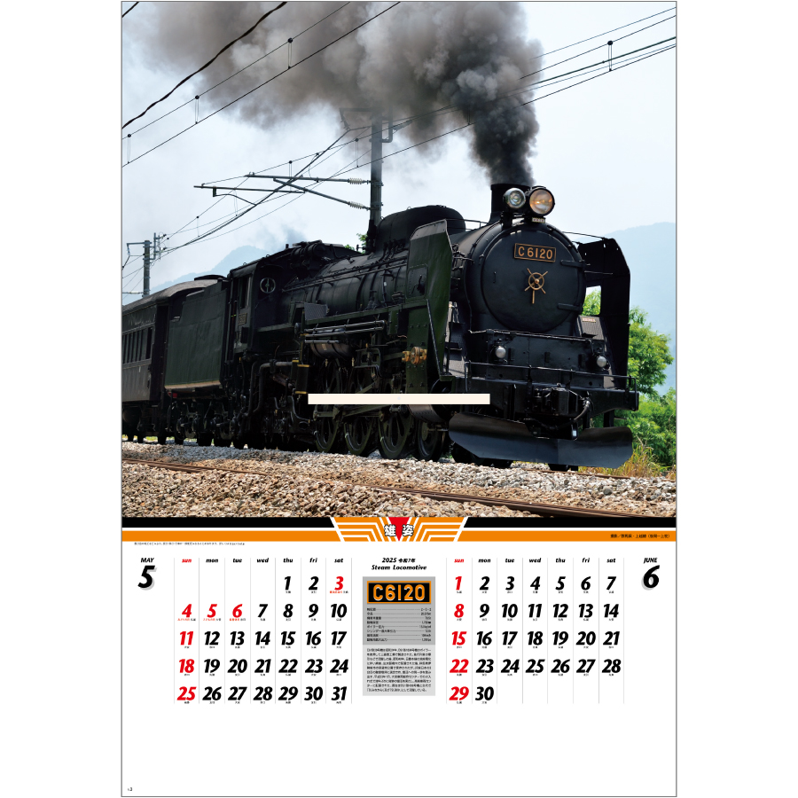 雄姿（SG-510）画像-2