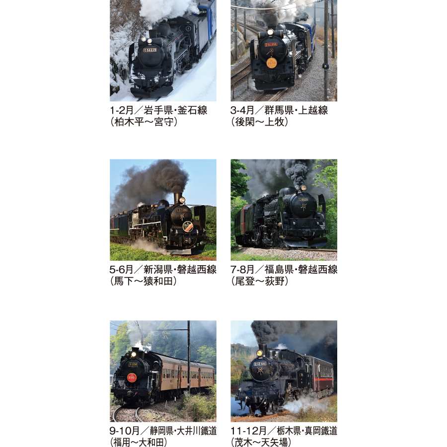 【超早割】雄姿(SG-510)画像-3