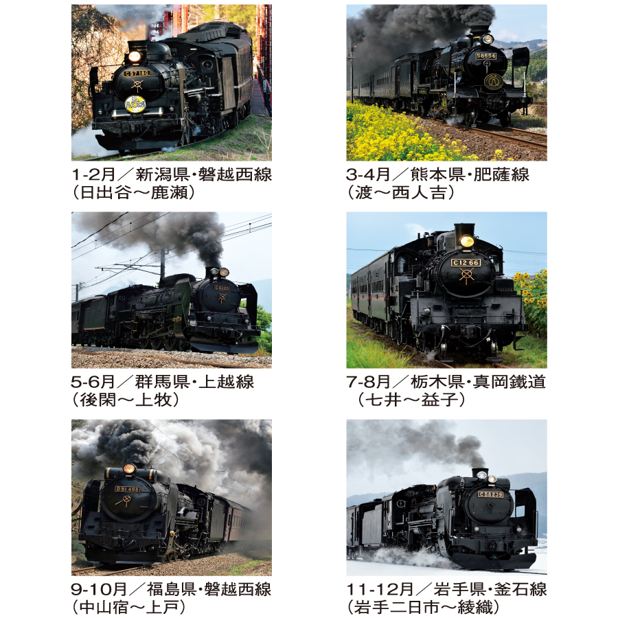 雄姿（SG-510）画像-3