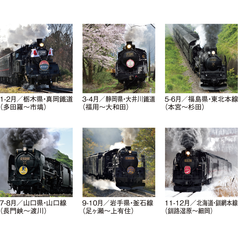 雄姿（SG-510）画像-3