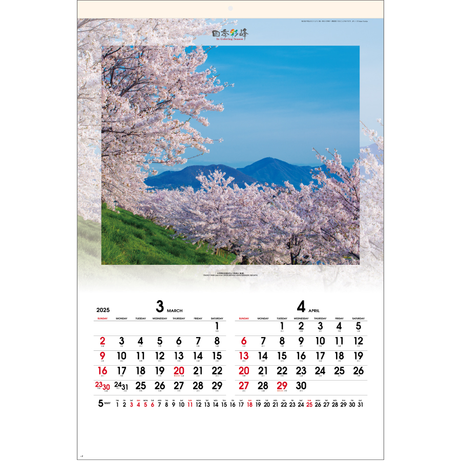 四季彩峰（SG-560）画像-2