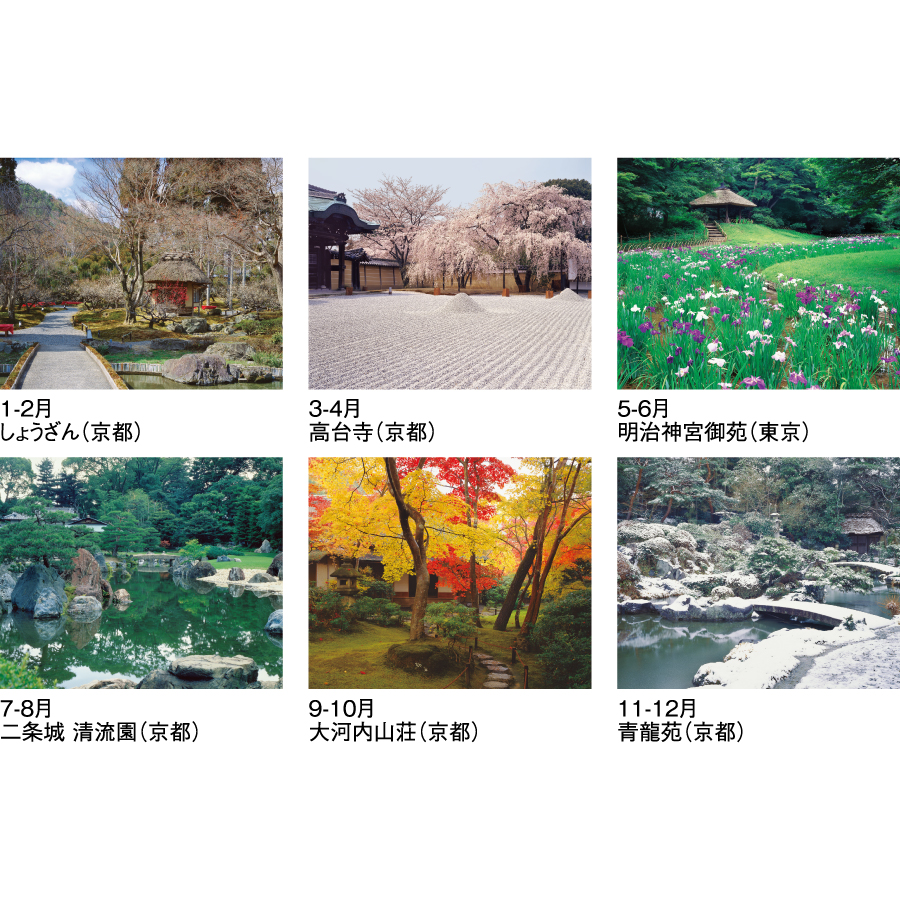 庭の心〈S〉（SG-7205）画像-2