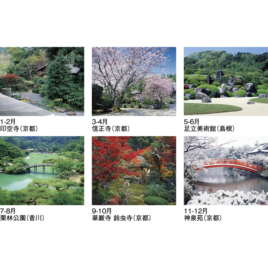 庭の心〈S〉（SG-7205）画像-3