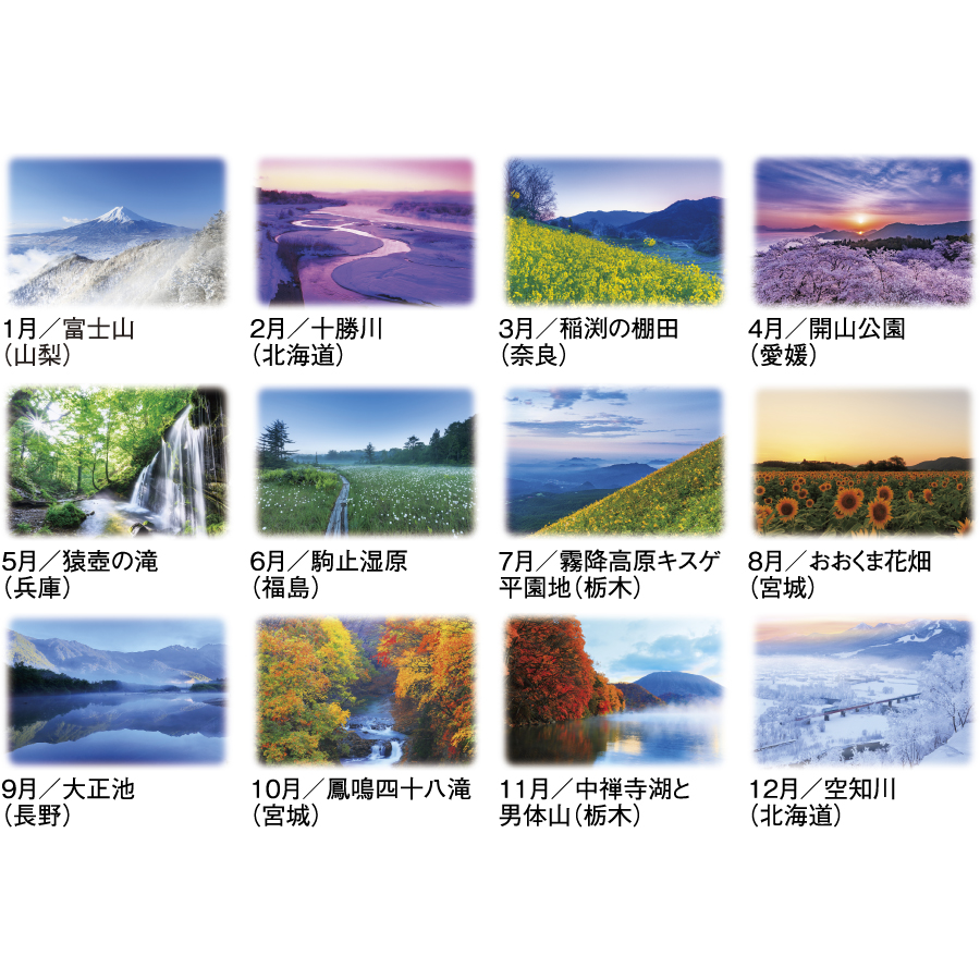 四季折々の風景〈S〉（SG-7281）画像-3