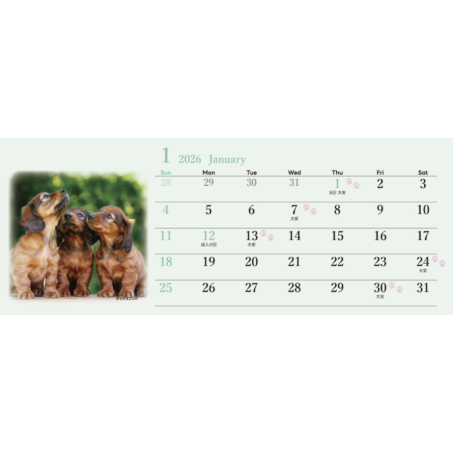 ドッグファミリー(SG-9395)画像-3