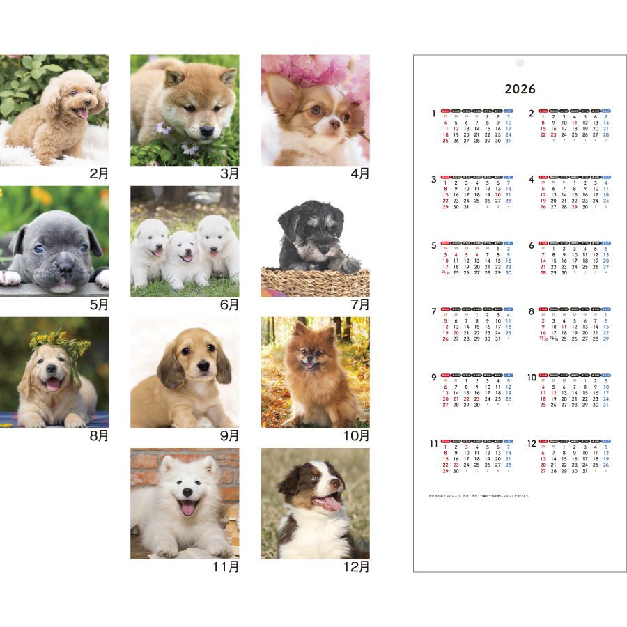 Pretty Dogs(犬)（SM-100）画像-3