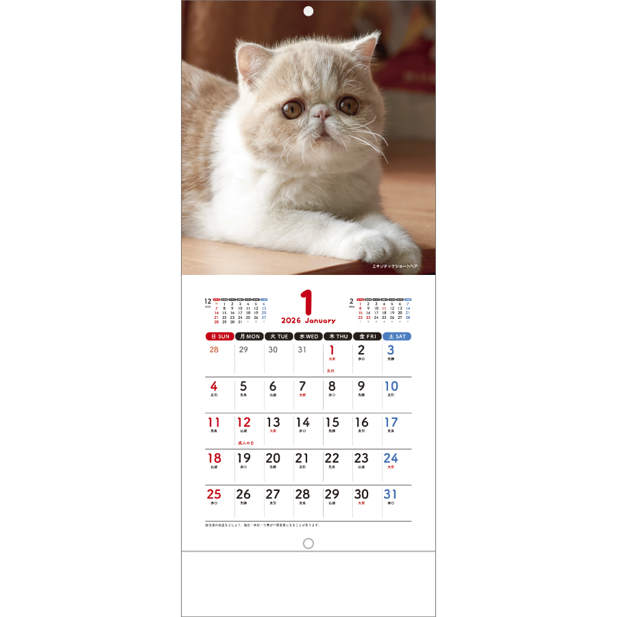 Sweet Cats(猫)（SM-105）画像-2