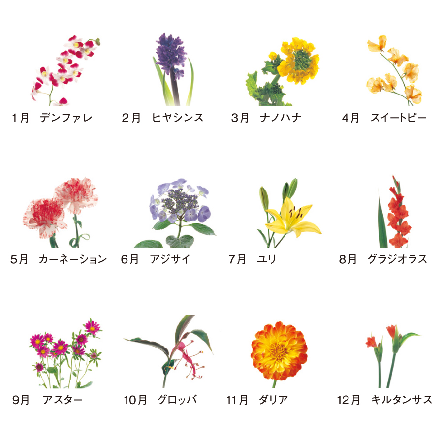 花時間（SP-80）画像-3