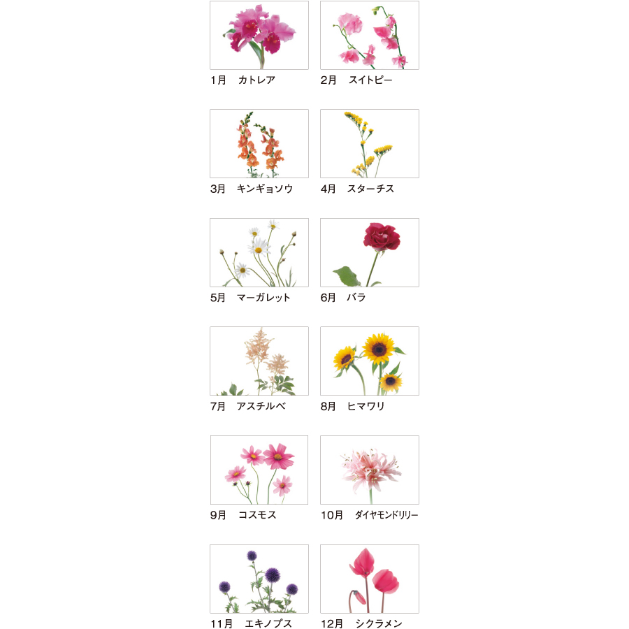 【超早割】花時間（T1B2607）画像-3