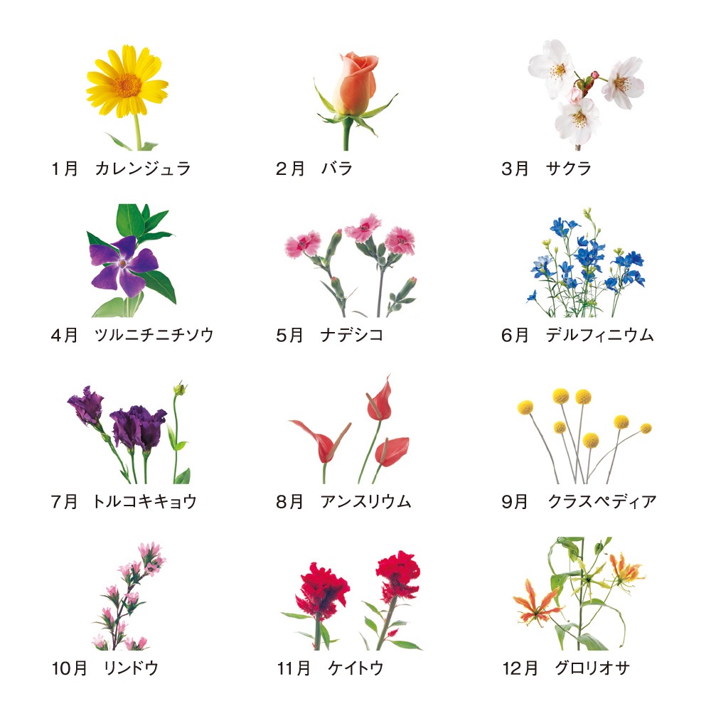 花時間（T1B2607）画像-3