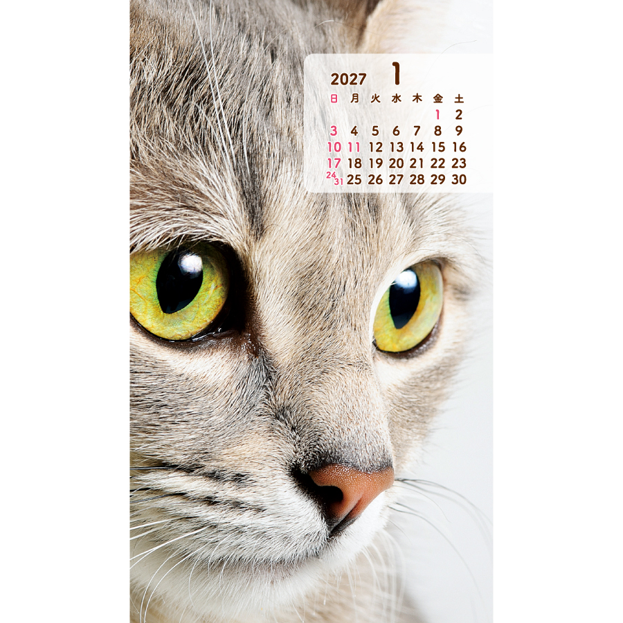 【超早割】ポケットカレンダー・猫ねこ(メモ付)(TD-186)画像-2