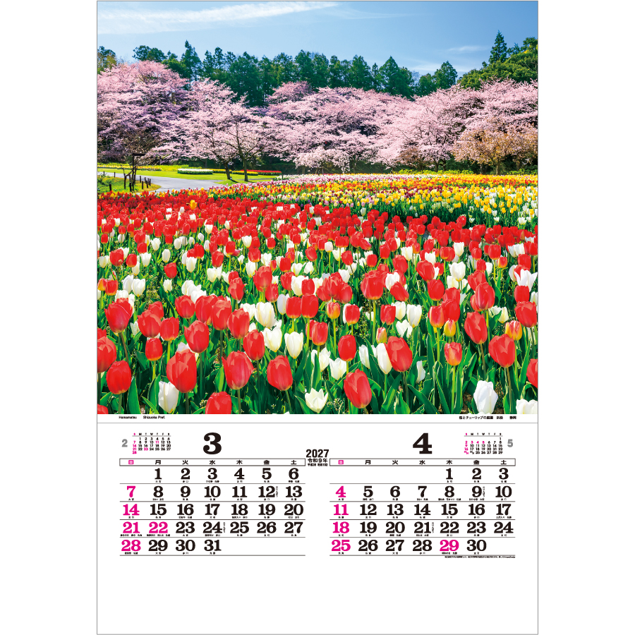 【超早割】トーハン･DX 日本（TD-501）画像-2